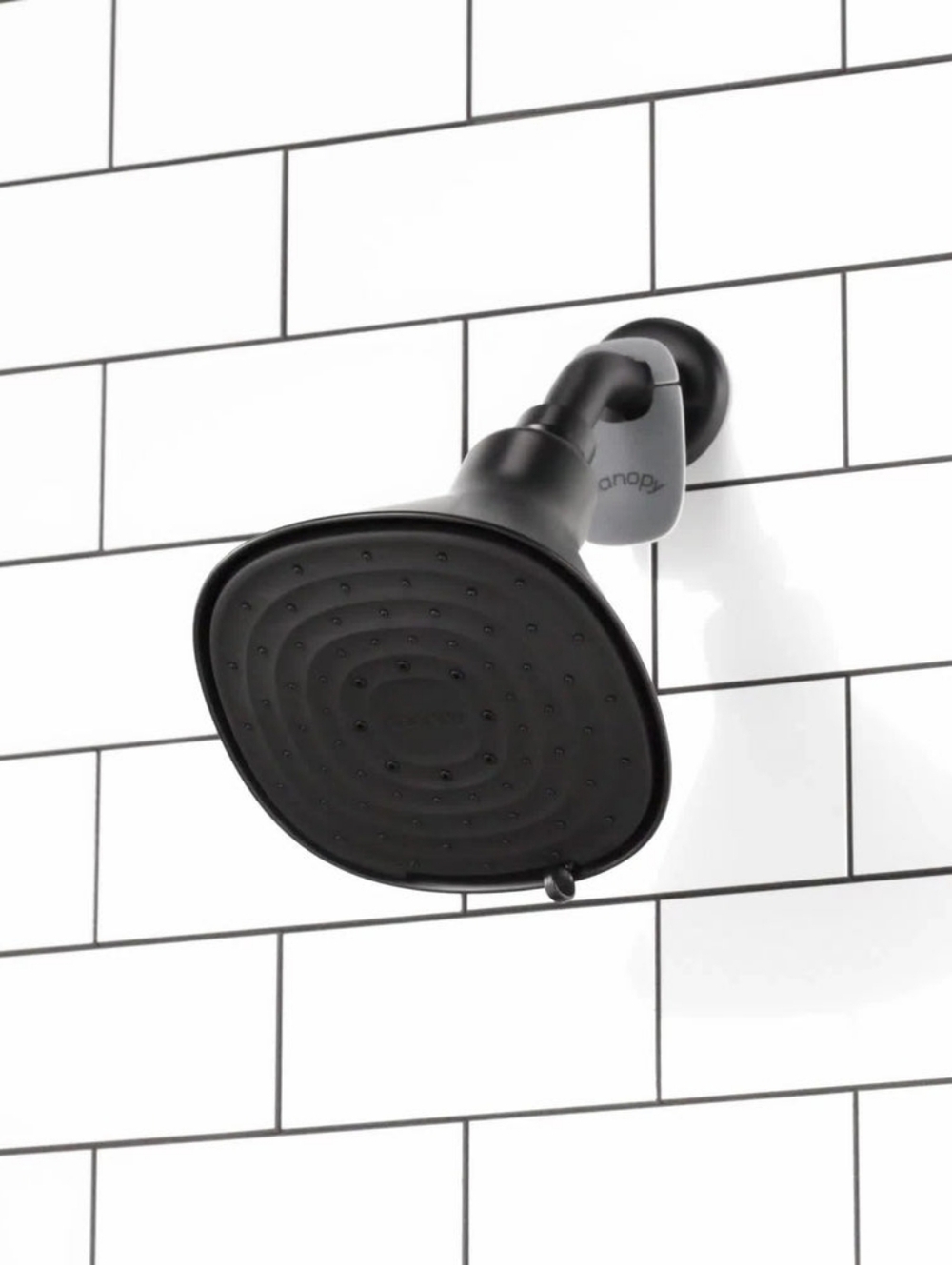 Canopy Filtered Showerhead (Matte Black)
